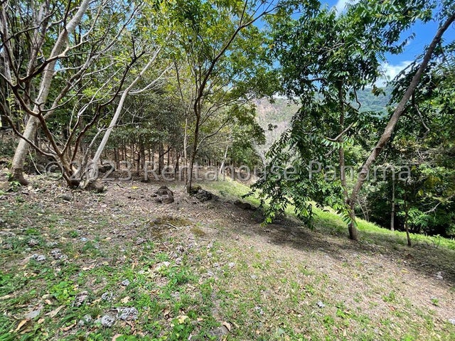 Beautiful Lot- Lote en Altos de María, Panamá